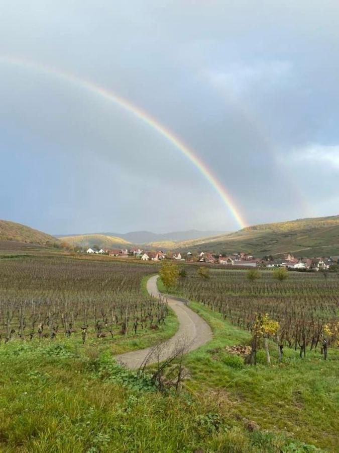 Vila Un Petit Coin D'Alsace Soultzmatt Exteriér fotografie