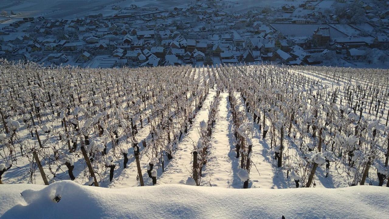 Vila Un Petit Coin D'Alsace Soultzmatt Exteriér fotografie