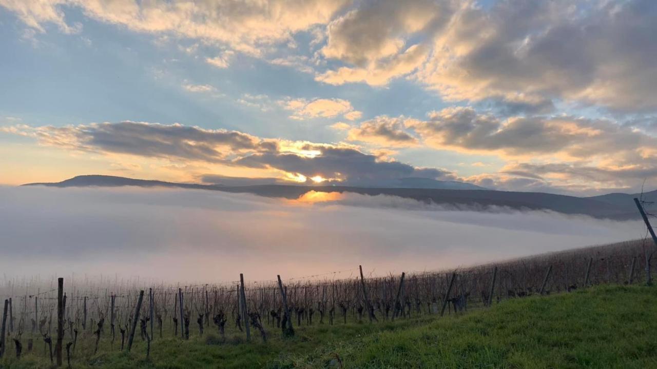 Vila Un Petit Coin D'Alsace Soultzmatt Exteriér fotografie
