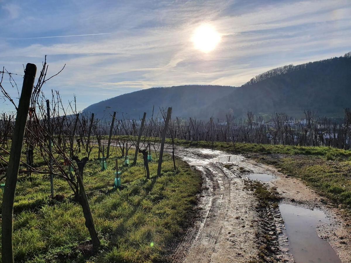 Vila Un Petit Coin D'Alsace Soultzmatt Exteriér fotografie
