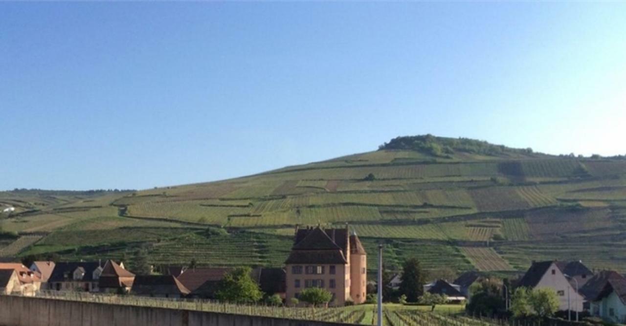 Vila Un Petit Coin D'Alsace Soultzmatt Exteriér fotografie